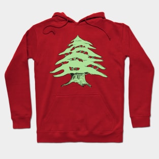 The Cedar Hoodie